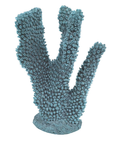 Pocillopora Eydouxi - Antler Coral #02301