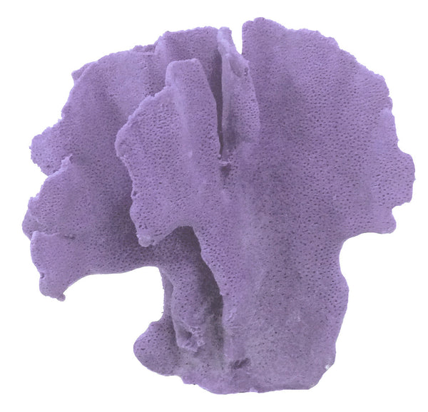 Heliopora Coerulea - Blue Ridge Coral #05101