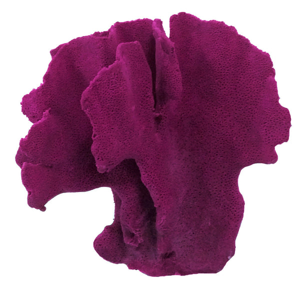 Heliopora Coerulea - Blue Ridge Coral #05101