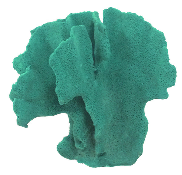 Heliopora Coerulea - Blue Ridge Coral #05101