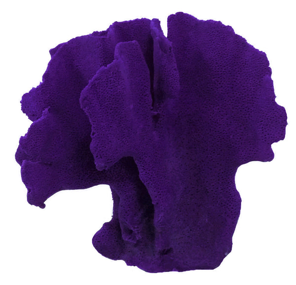 Heliopora Coerulea - Blue Ridge Coral #05101