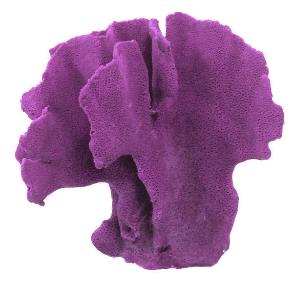 Heliopora Coerulea - Blue Ridge Coral #05101
