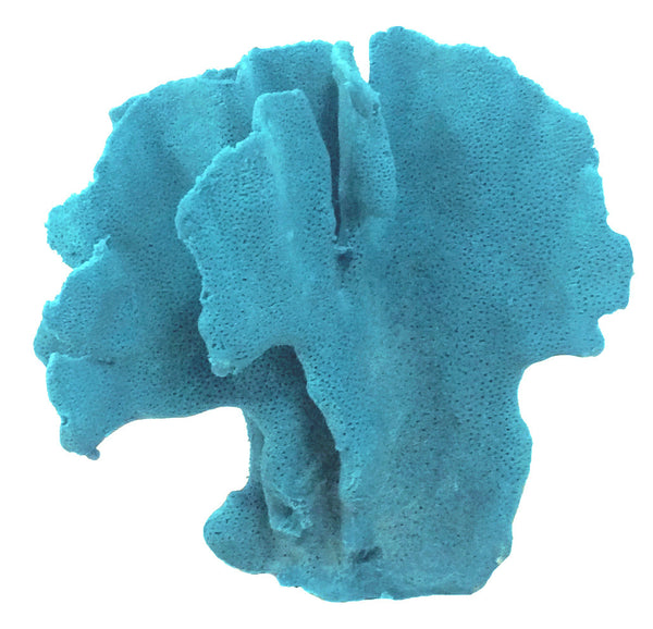 Heliopora Coerulea - Blue Ridge Coral #05101