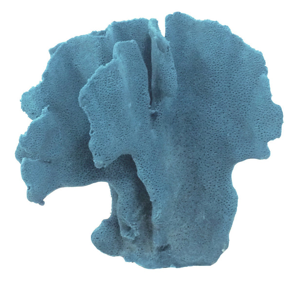 Heliopora Coerulea - Blue Ridge Coral #05101