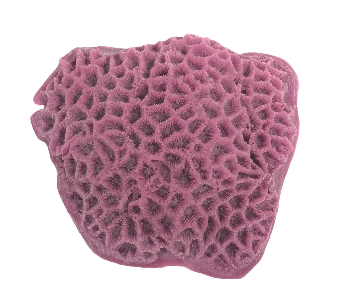 09102_8_1200x1200.jpg?v=1436372464