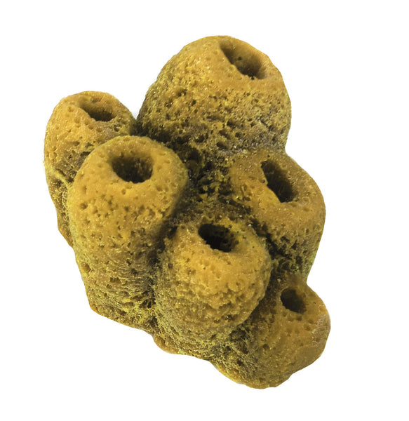 Misc Sponges - Button Sponges #51201