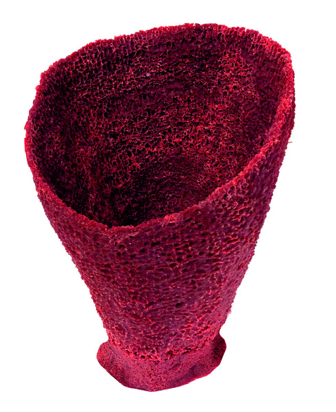 Misc Sponges - Vase Sponge #51301