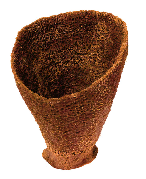 Misc Sponges - Vase Sponge #51301