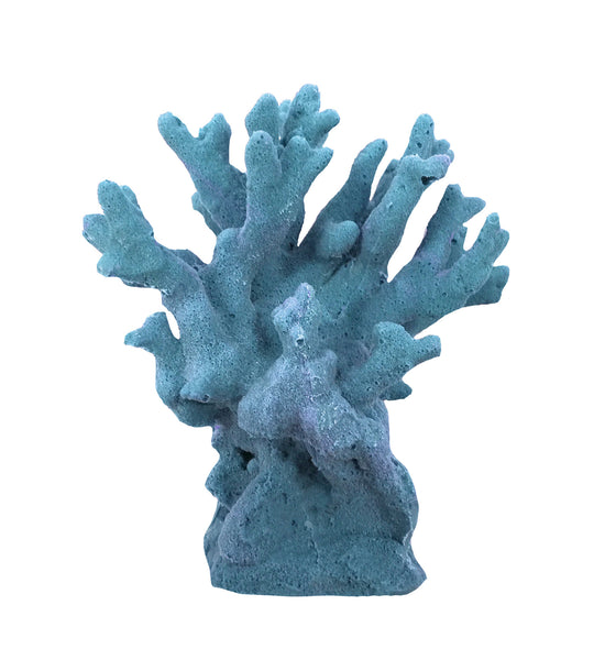 Millepora Alcicornis -  Fire Coral #15201