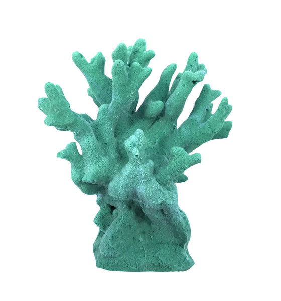 Millepora Alcicornis -  Fire Coral #15201