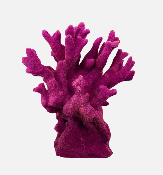Millepora Alcicornis -  Fire Coral #15201