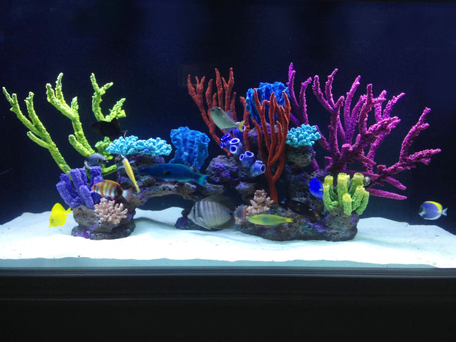 Artificial coral and custom aquarium decorations. – RocknReefs Inc.