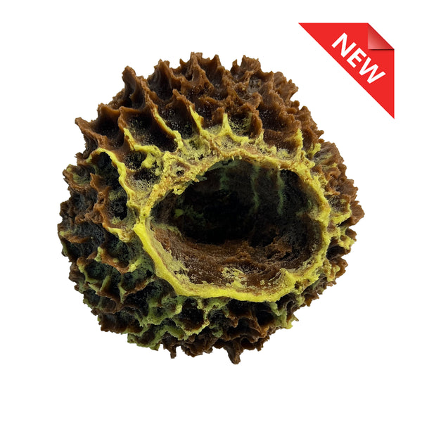 Giant Barrel Sponge #51507