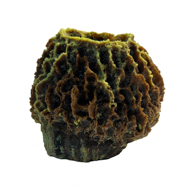 Giant Barrel Sponge #51507