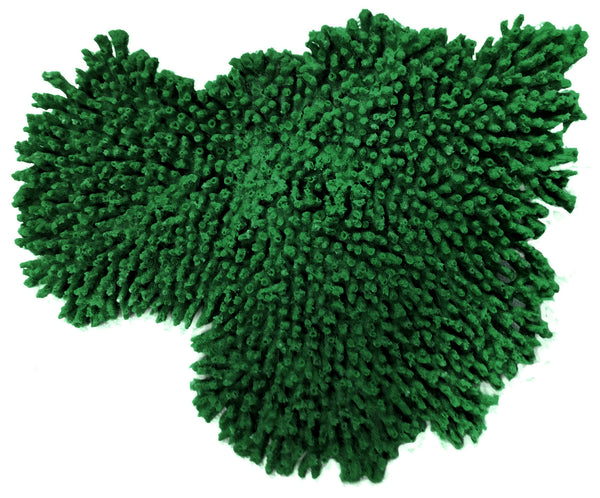Acropora Cytherea - Large Table Coral #01502