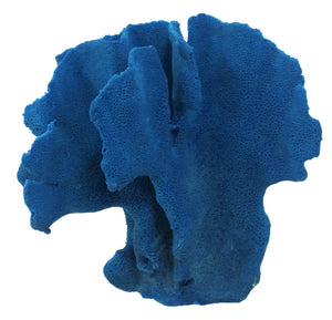 Heliopora Coerulea - Blue Ridge Coral #05101