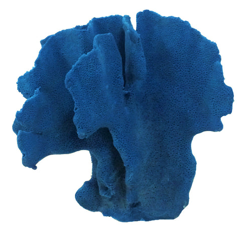 Heliopora Coerulea - Blue Ridge Coral #05101