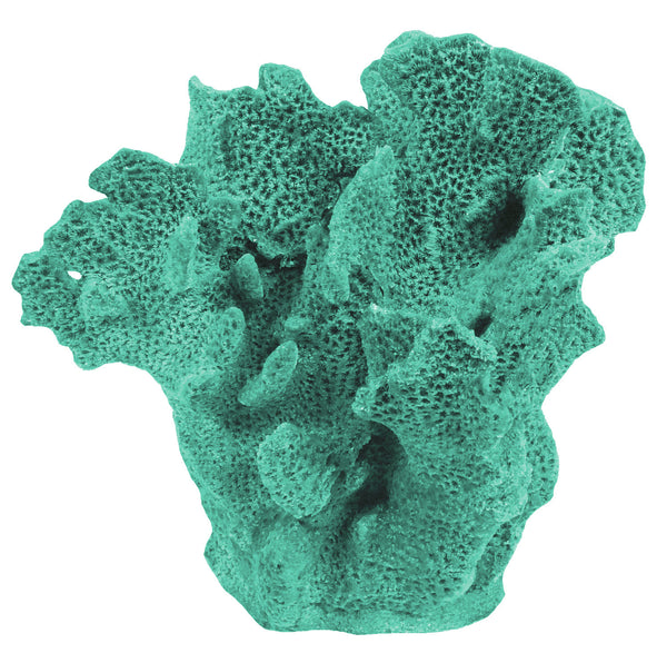 Agaricia Tenuifolia - Thin Leaf Lettuce Coral #06201