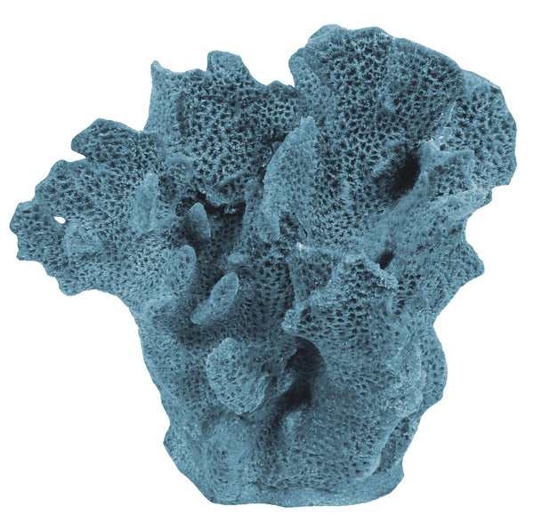 Agaricia Tenuifolia - Thin Leaf Lettuce Coral #06201