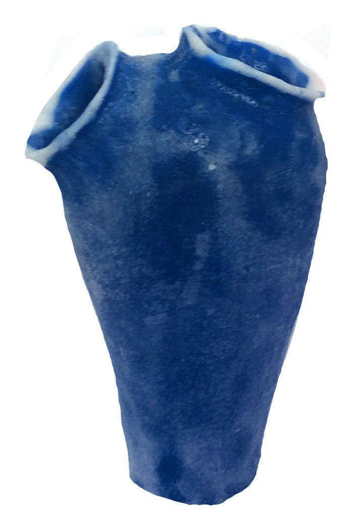 Clavelina Moluccensis - Blue Bell Tunicate #13102 – RocknReefs Inc.