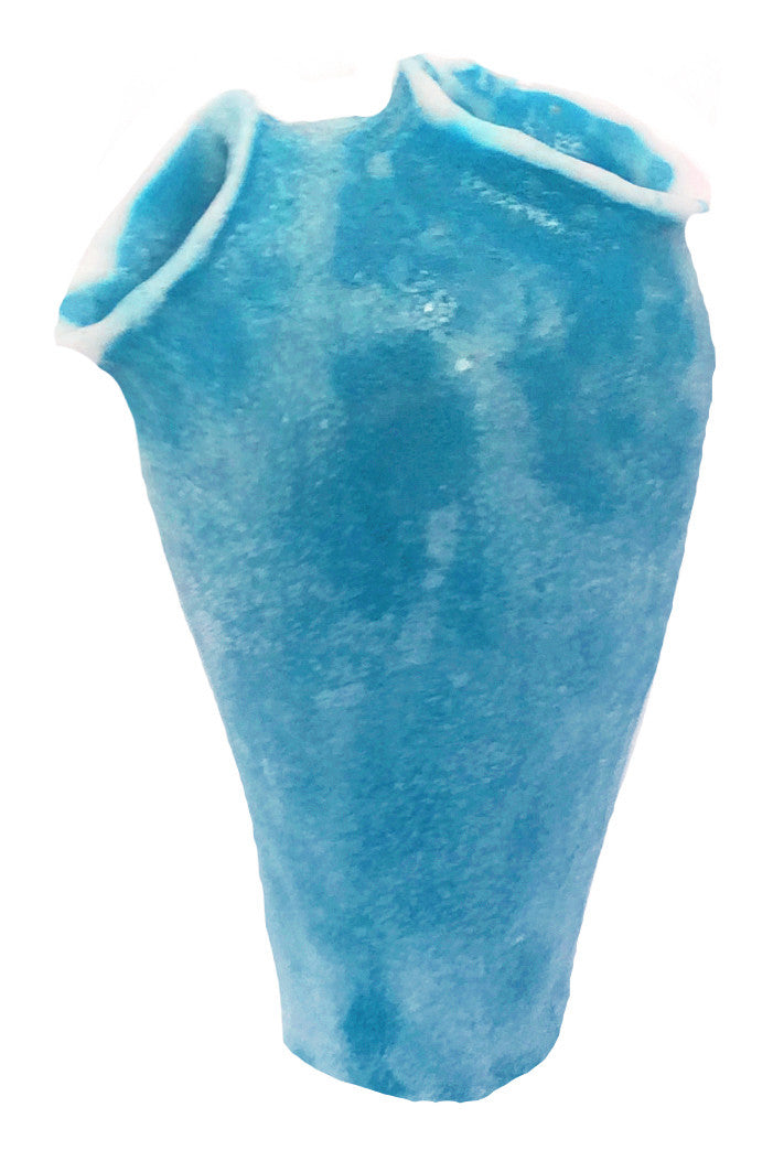 Clavelina Moluccensis - Blue Bell Tunicate #13102 – RocknReefs Inc.