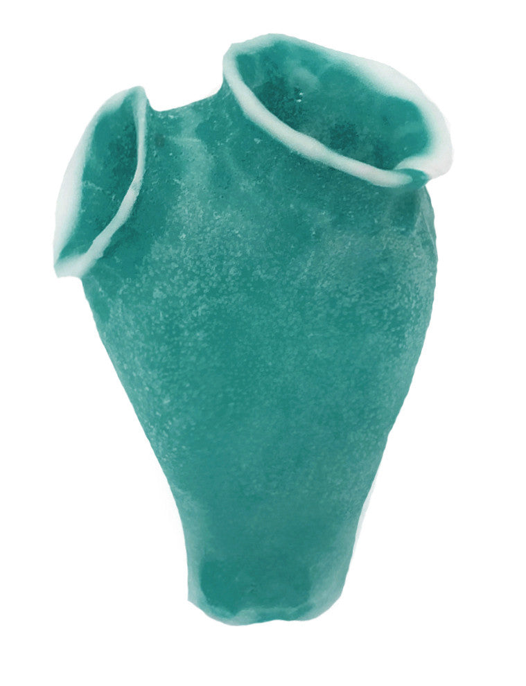 Clavelina Moluccensis - Blue Bell Tunicate #13103 – RocknReefs Inc.