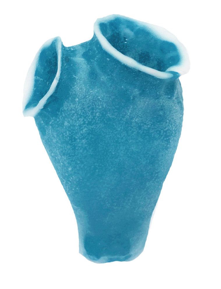 Clavelina Moluccensis - Blue Bell Tunicate #13103 – RocknReefs Inc.