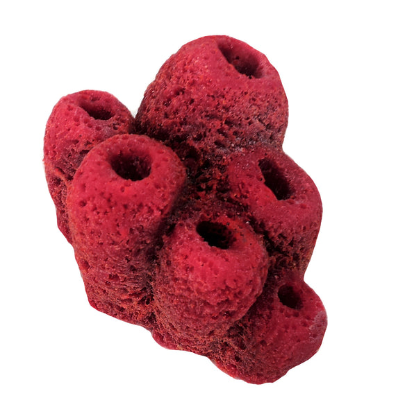 Misc Sponges - Button Sponges #51201