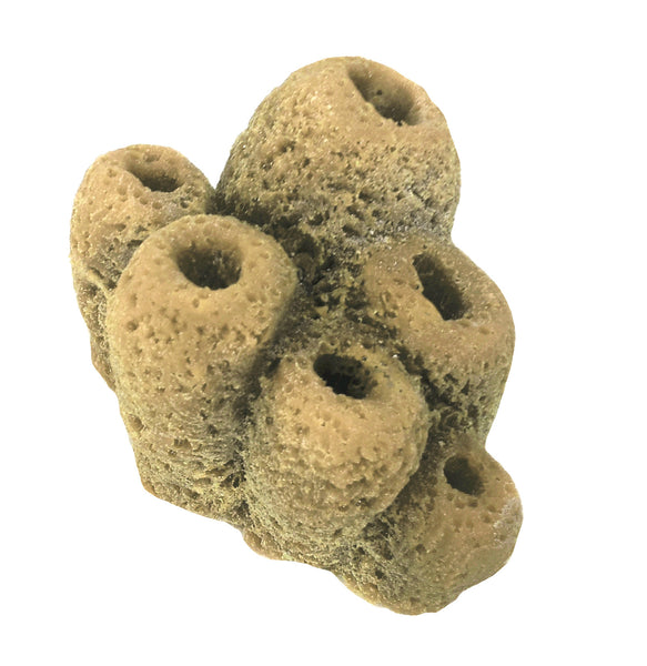 Misc Sponges - Button Sponges #51201