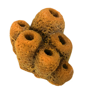 Misc Sponges - Button Sponges #51201