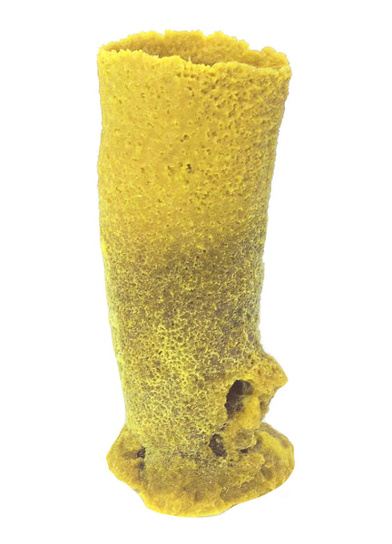 Misc Sponges - Single Tube #51202