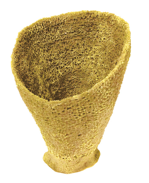Misc Sponges - Vase Sponge #51301