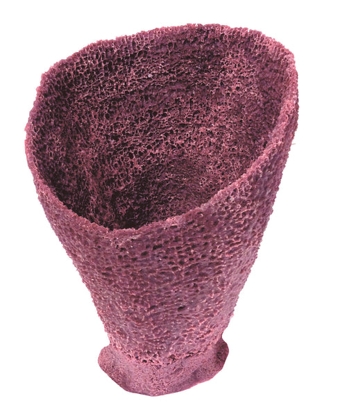 Misc Sponges - Vase Sponge #51301