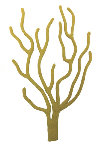 Misc Sponges - Eunicella Singularis  Gorgonian #51503