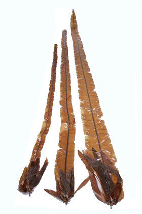 Product image-Pangea America three sizes of synthetic dragon kelp
