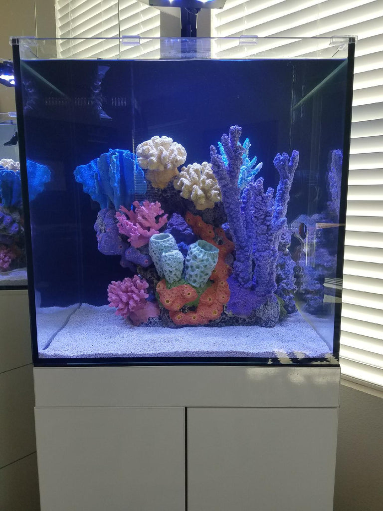 Homemade Reef DIY Reef-Loc T-AF – RocknReefs Inc.