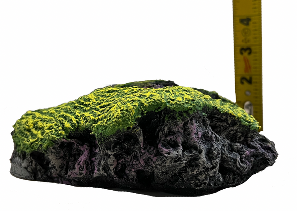 Misc. Seahorse Hitching Post - Finger Claw Sponge with weighted base - Seahorse Aquarium Decoration