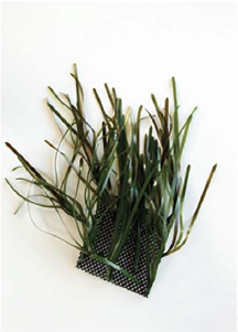 Product image-Pangea America synthetic neptune grass cluster