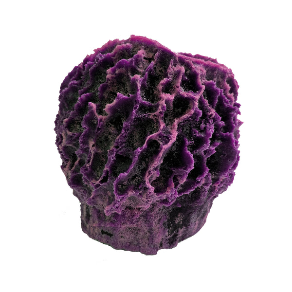 Giant Barrel Sponge #51507