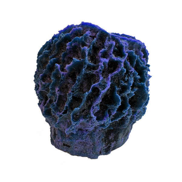 Giant Barrel Sponge #51507