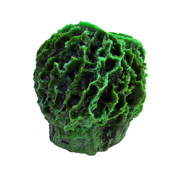 Giant Barrel Sponge #51507